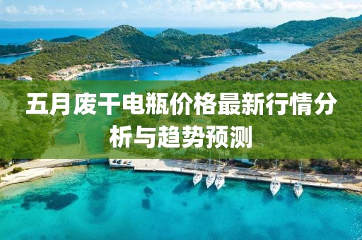 五月廢干電瓶價格最新行情分析與趨勢預測