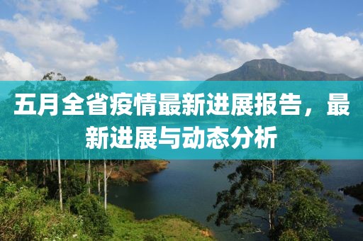 五月全省疫情最新進展報告,最新進展與動態分析