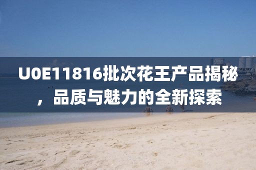 U0E11816批次花王產品揭秘,品質與魅力的全新探索