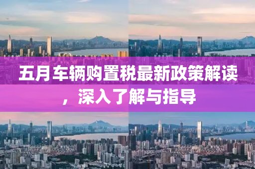 五月車輛購置稅最新政策解讀,深入了解與指導