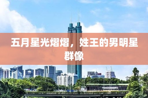 五月星光熠熠,姓王的男明星群像
