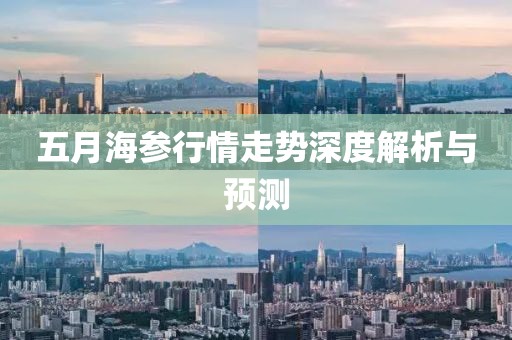 五月海參行情走勢深度解析與預測