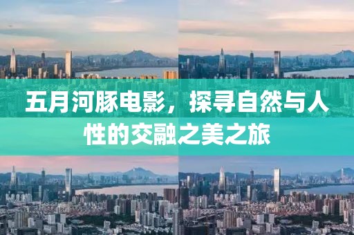 五月河豚電影,探尋自然與人性的交融之美之旅