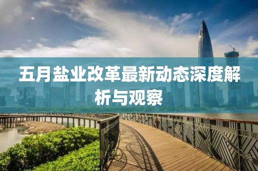 五月鹽業(yè)改革最新動(dòng)態(tài)深度解析與觀察