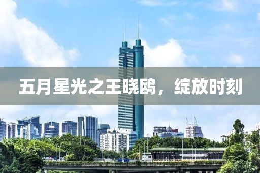 五月星光之王曉鷗,綻放時刻