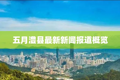 五月澧縣最新新聞報道概覽
