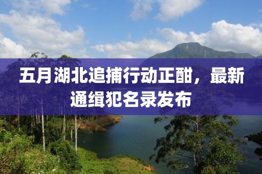 五月湖北追捕行動(dòng)正酣,最新通緝犯名錄發(fā)布