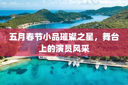 五月春節小品璀璨之星，舞臺上的演員風采