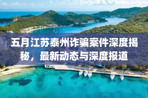 五月江蘇泰州詐騙案件深度揭秘，最新動(dòng)態(tài)與深度報(bào)道