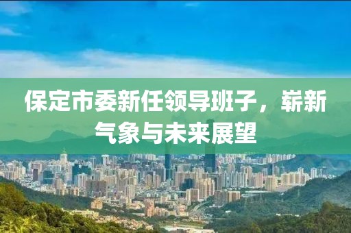 保定市委新任領導班子,嶄新氣象與未來展望