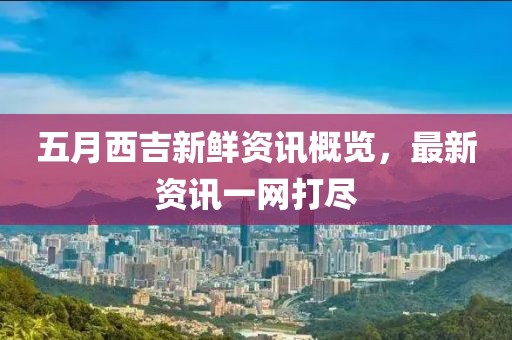 五月西吉新鮮資訊概覽,最新資訊一網打盡