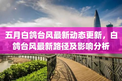 五月白鴿臺風最新動態更新,白鴿臺風最新路徑及影響分析