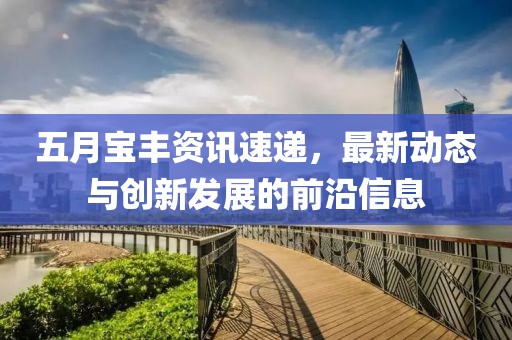 五月寶豐資訊速遞,最新動態與創新發展的前沿信息
