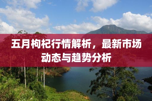 五月枸杞行情解析,最新市場動態與趨勢分析