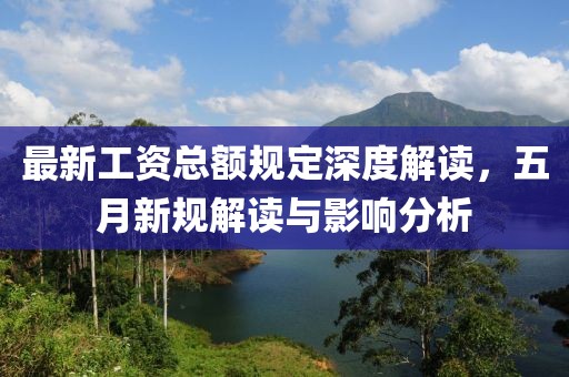 最新工資總額規定深度解讀,五月新規解讀與影響分析