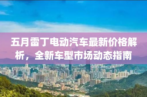 五月雷丁電動汽車最新價格解析,全新車型市場動態(tài)指南