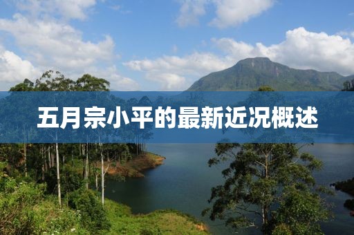 五月宗小平的最新近況概述