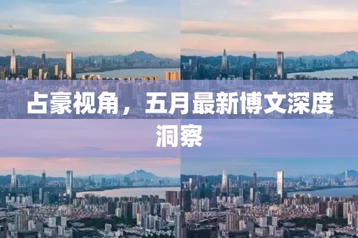 占豪視角,五月最新博文深度洞察