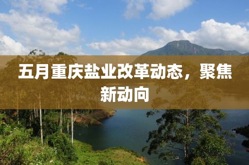 五月重慶鹽業改革動態,聚焦新動向