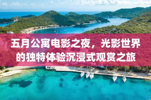 五月公寓電影之夜,光影世界的獨特體驗沉浸式觀賞之旅