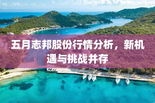 五月志邦股份行情分析，新機遇與挑戰并存