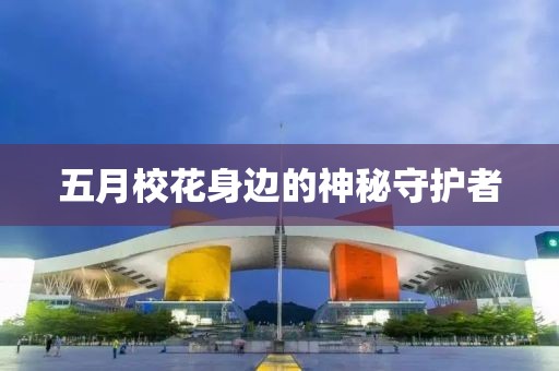 五月校花身邊的神秘守護者