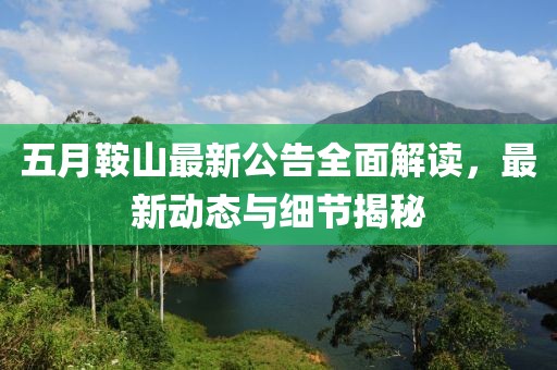 五月鞍山最新公告全面解讀,最新動(dòng)態(tài)與細(xì)節(jié)揭秘