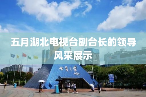 五月湖北電視臺副臺長的領導風采展示