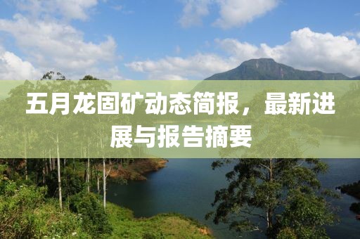 五月龍固礦動態簡報,最新進展與報告摘要