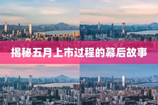 揭秘五月上市過程的幕后故事