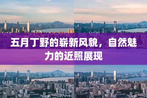 五月丁野的嶄新風貌,自然魅力的近照展現