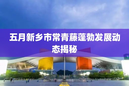 五月新鄉(xiāng)市常青藤蓬勃發(fā)展動(dòng)態(tài)揭秘