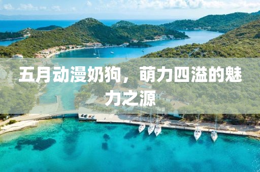 五月動漫奶狗,萌力四溢的魅力之源