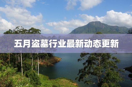 五月盜墓行業(yè)最新動態(tài)更新