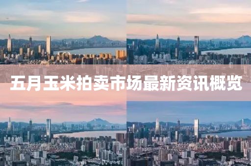 五月玉米拍賣市場最新資訊概覽