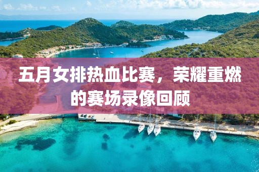 五月女排熱血比賽,榮耀重燃的賽場錄像回顧