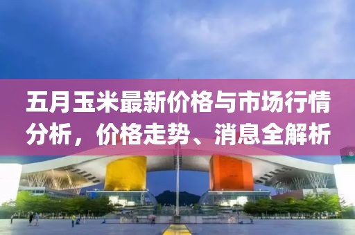 五月玉米最新價格與市場行情分析,價格走勢、消息全解析