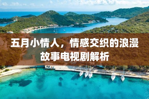 五月小情人，情感交織的浪漫故事電視劇解析