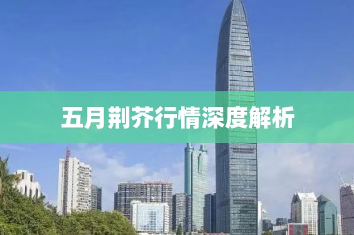 五月荊芥行情深度解析