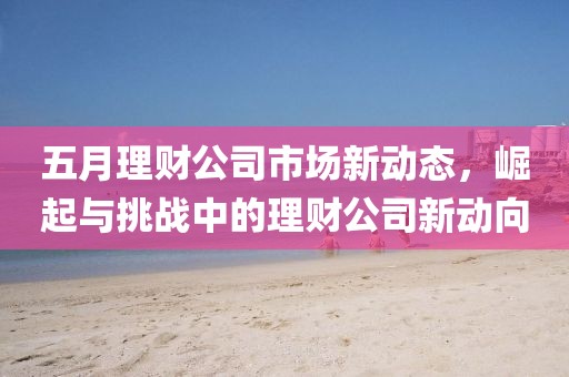 五月理財(cái)公司市場新動(dòng)態(tài),崛起與挑戰(zhàn)中的理財(cái)公司新動(dòng)向