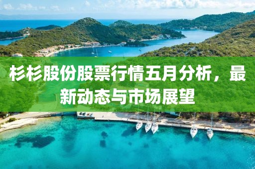 杉杉股份股票行情五月分析,最新動態與市場展望
