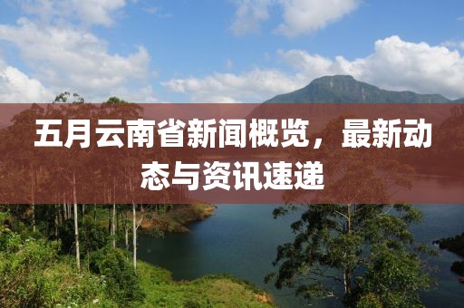 五月云南省新聞概覽,最新動態與資訊速遞