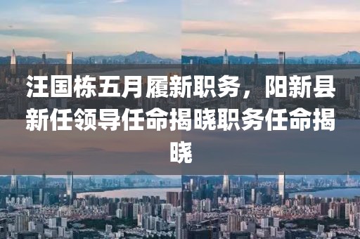 汪國棟五月履新職務,陽新縣新任領導任命揭曉職務任命揭曉