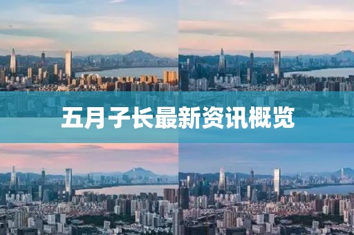 五月子長最新資訊概覽