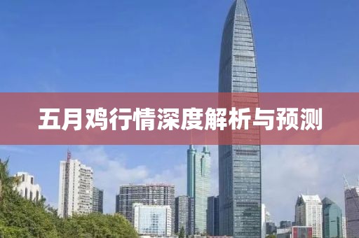 五月雞行情深度解析與預測