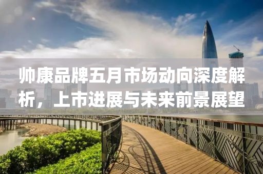 帥康品牌五月市場動向深度解析,上市進展與未來前景展望