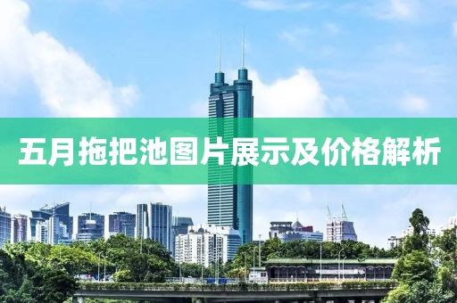 五月拖把池圖片展示及價格解析