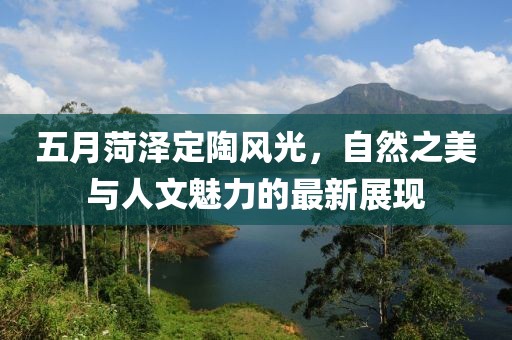 五月菏澤定陶風光，自然之美與人文魅力的最新展現