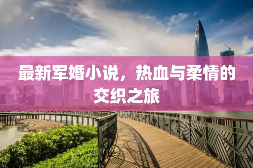 最新軍婚小說，熱血與柔情的交織之旅