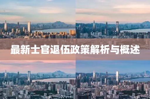 二傻子 第34頁